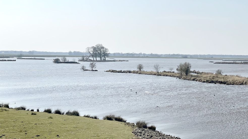 Die drei Gemeinden Rhauderfehn, Ostrhauderfehn und Jümme wollen mehr für den Naturschutz tun. Gemeinsam gehört ihnen schon der Polder Holter Hammrich. Foto: Hellmers