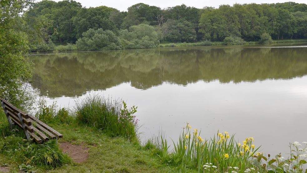 Die Saterländer Ortsgruppe der Angler hat die Ufervegetation am Maiglöckchensee zurückgeschnitten. Der See gilt als Naturidyll, wo seltene Pflanzenarten gedeihen. Die Aktion war dennoch rechtens bestätigt jetzt die Untere Naturschutzbehörde des Landkreises. Foto: Hellmann