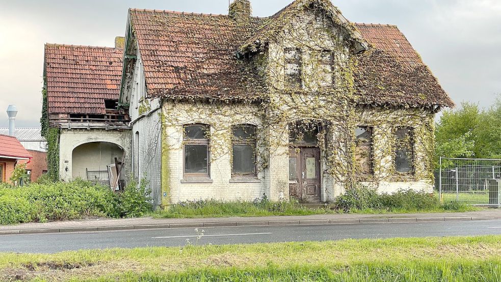 Die einstige „Villa Conrad“ war kurz vor ihrem Abriss mit Efeu zugewachsen. Fotos: Hellmers/Archiv