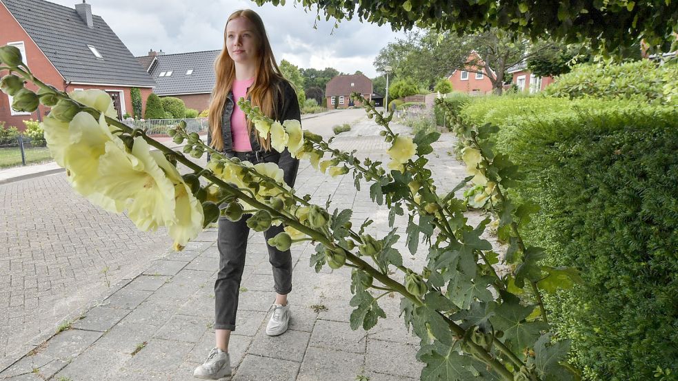 Pflanzen, die in den Gehweg hineinragen, können für Rollstuhlfahrer zum Problem und für unaufmerksame Fußgänger gefährlich werden. Foto: Ortgies