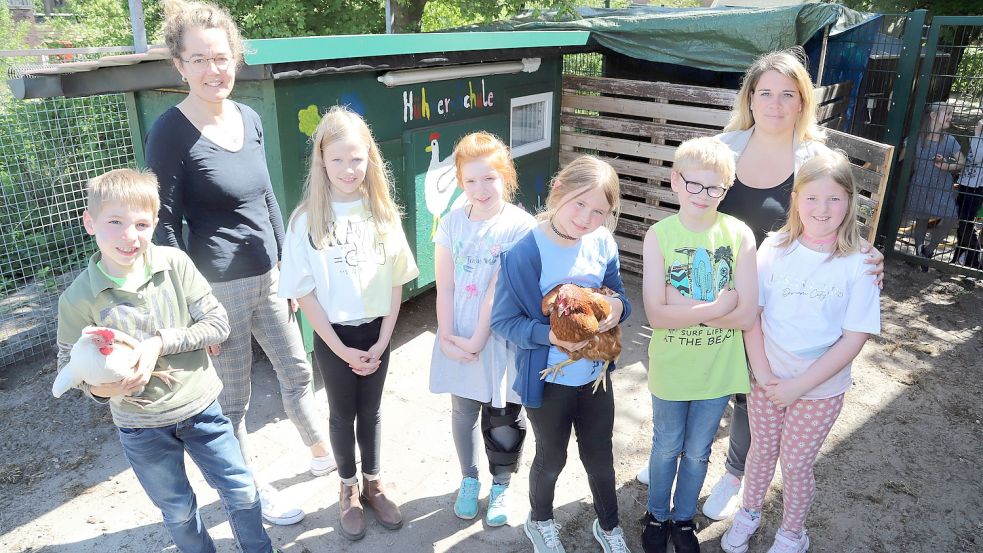 An der Grundschule Harkebrügge gibt es neuerdings eine Hühnerschule. Um die Hühner kümmern sich Schüler der Arbeitsgemeinschaft. Foto: Passmann