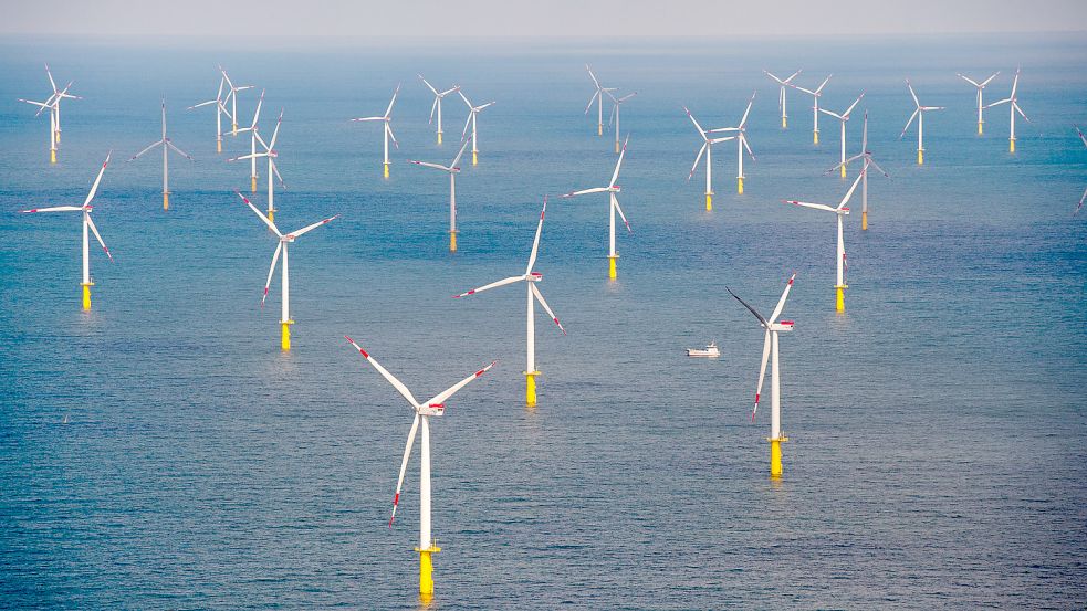 Windpark in der Nordsee Foto: dpa/Daniel Reinhardt