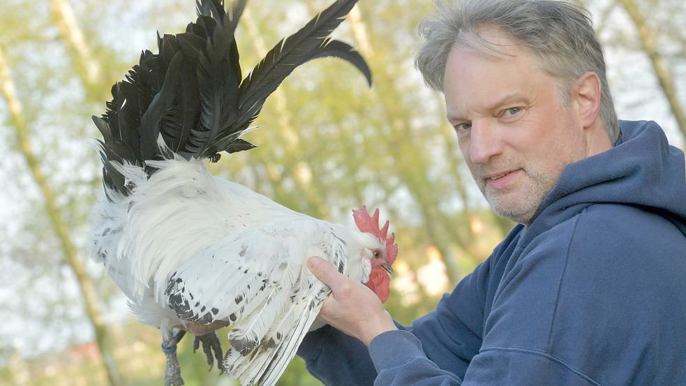 Harald Akkermann hält schon sein Leben lang die Rasse "Ostfriesische Möwe". Foto: Ortgies