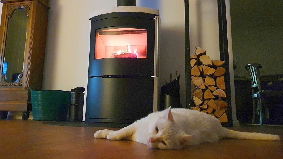 Das Feuerchen im Kaminofen gehört für viele Ostfriesen zu einem heimeligen Winterabend dazu. Angesichts steil ansteigender Preise könnte der Gemütlichkeitsfaktor schon bald purer Luxus werden. Foto: Gettkowski