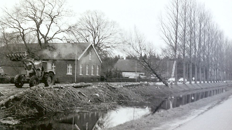 Die älteren Fehntjer erinnern sich noch an die Pappel-Reihe am Rajenkanal in Rhauderfehn. Die letzten wurden 1988 abgeholzt.