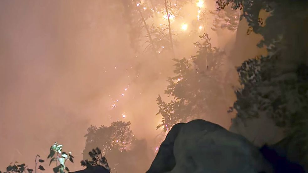 Der Wald nahe der Bastei in der Sächsischen Schweiz hat gebrannt. Die Polizei ermittelt wegen Brandstiftung. Foto: dpa/Landratsamt Kreis Sächsische Schweiz-Osterzgebirge