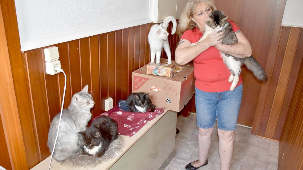 Monika Hübner aus Westoverledingen hofft, dass sie ihre Katzen behalten kann. Foto: Ammermann