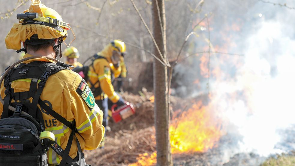 Feuerwehrleute proben Löscharbeiten für einen Waldbrand in Remscheid. Foto: IMAGO IMAGES/Tim Oelbermann