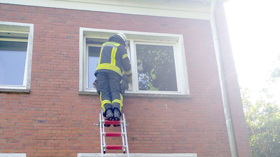 Über eine Leiter halfen die Einsatzkräfte dem Tier. Foto: Feuerwehr