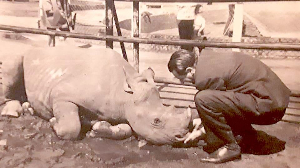 Der letzte „Onkel Heini“: Heinz-Dieter Hasselmann mit einem Nashorn. Fotos: privat/Archiv