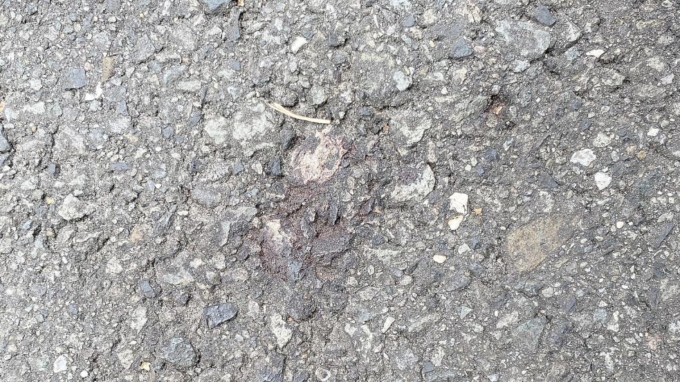 Vereinzelt erkennt man auf dem Wanderweg noch Blutflecken. Foto: Hagewiesche