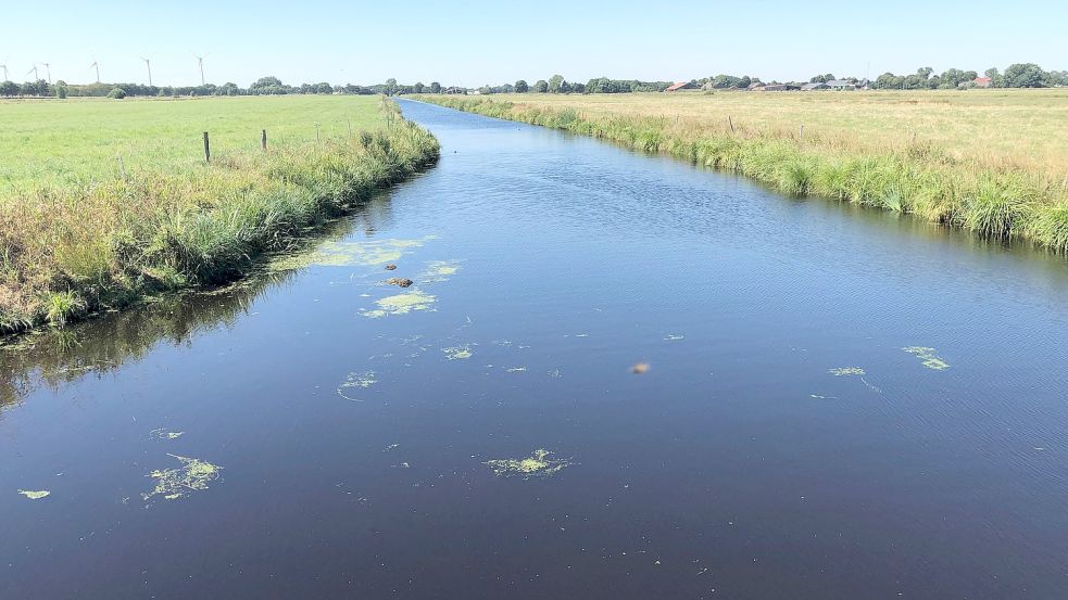Im Rheiderland ist die Situation der Gewässer sehr unterschiedlich. Foto: Vogt