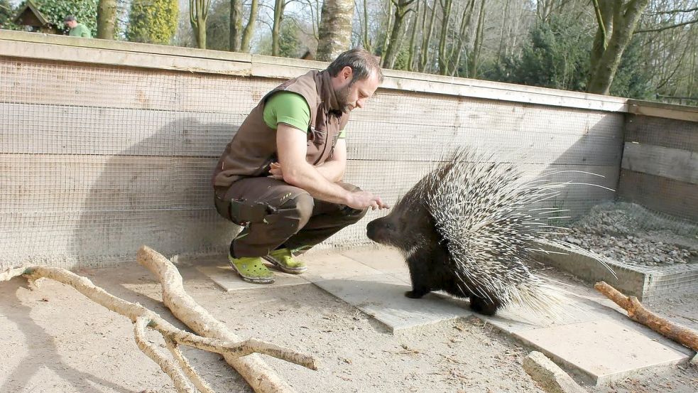 Mehr als 400 zum Teil exotische Tiere können in Birgits Tiergarten bestaunt werden. Foto: Corinna Folkerts