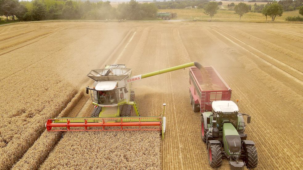 Der Bauernverband hat seine diesjährige Erntebilanz vorgestellt. Foto: dpa/Bernd Wüstneck