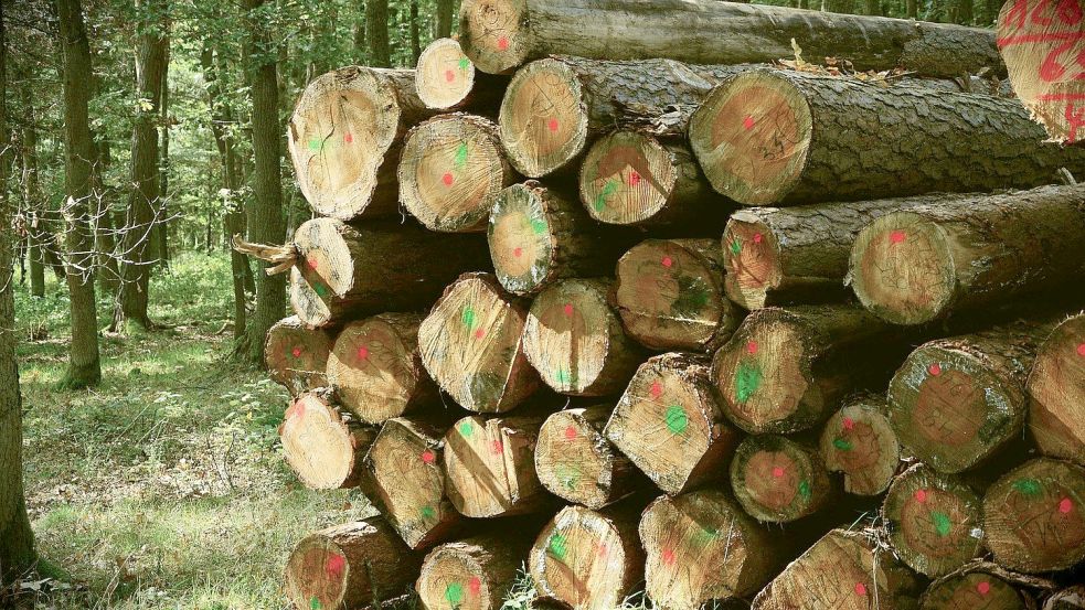 Oft werden Holzstapel an den Wegrändern aufgestapelt. Hier bedienen sich immer mal wieder Diebe. Foto: Pixabay