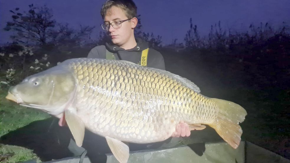 Karpfen können bis zu 20 Kilogramm schwer werden. Dieses große Exemplar hat Jannes Kramer geangelt. Fotos: privat