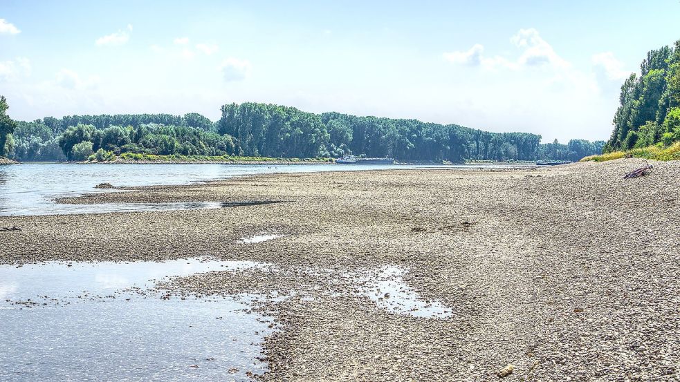 Monatelange Trockenheit und Regenmangel lassen viele große Flüsse, wie hier auf einem Bild vom Rhein, austrocknen. Foto: distelAPPArath/Pixabay