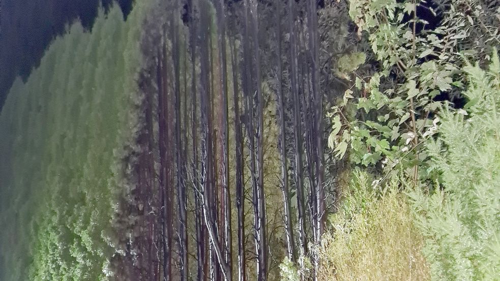 Als die Mitglieder der Feuerwehr Völlenerfehn eintrafen, da hatten Anwohner die brennende Hecke bereits gelöscht. Foto: Feuerwehr/Bruns