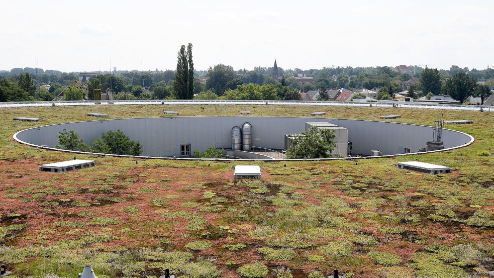 Dachbegrünung dämmt und verhindert Stauhitze. Foto: Pedersen/DPA