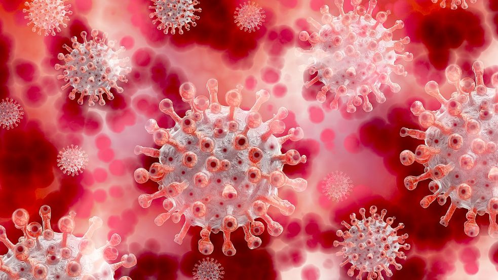Immer noch werden im Landkreis Cloppenburg Hunderte von weiteren Infektionen mit dem Coronavirus registriert. Foto: Pixabay