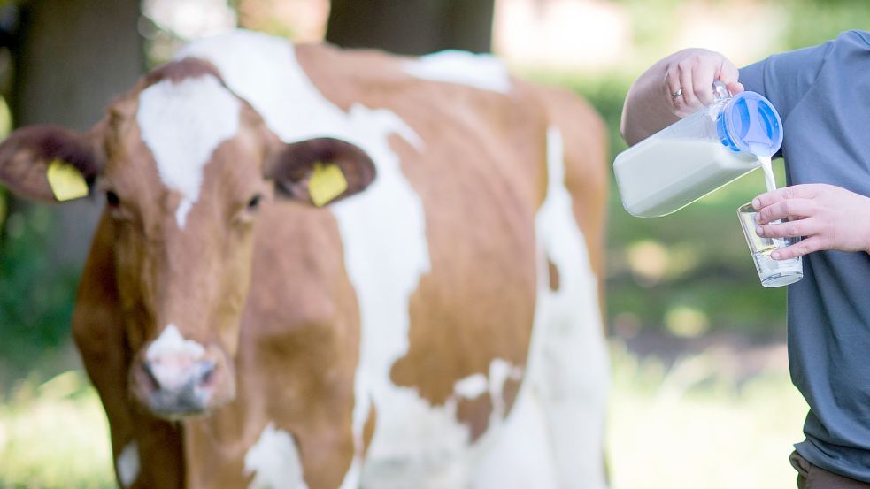 Im Milchsektor werden derzeit rekordverdächtige Preise an die Erzeuger gezahlt. Foto: dpa/Prautsch