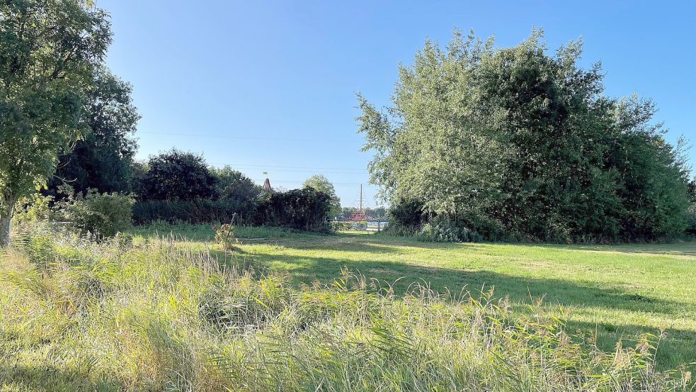 Auf dieser rund drei Hektar großen Fläche direkt beim Mehrgenerationenspielplatz (im Hintergrund) des Freizeitparks Am Emsdeich Grotegaste soll ein Indoorspielplatz entstehen. Die Gemeinde möchte gerne den Kinnerkram von Ihrhove hierher umsiedeln. Foto: David Ammermann