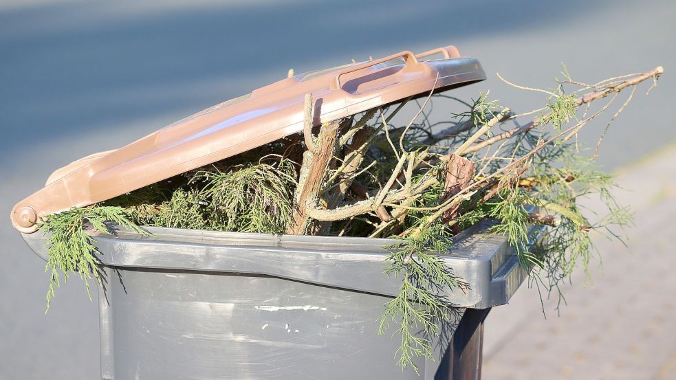 Immer öfter werden in den Biotonnen im Landkreis Cloppenburg Plastik und Glas entsorgt. Deshalb kontrolliert der Kreis jetzt. Foto: Pixabay