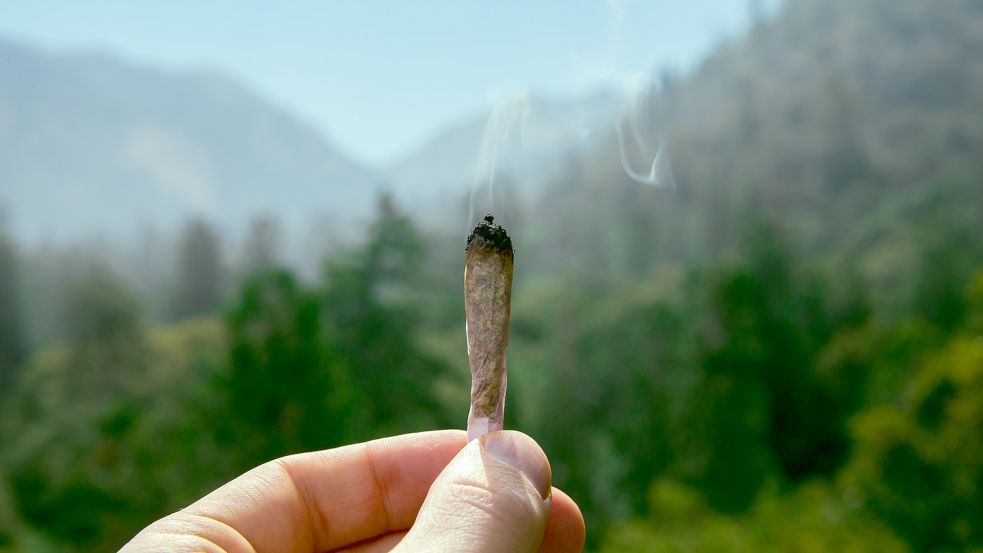 Der Konsum einer illegalen Droge ist nicht strafbar – „nur“ der unerlaubte Anbau, Besitz und Handel. Foto: Unsplash/Jeff W