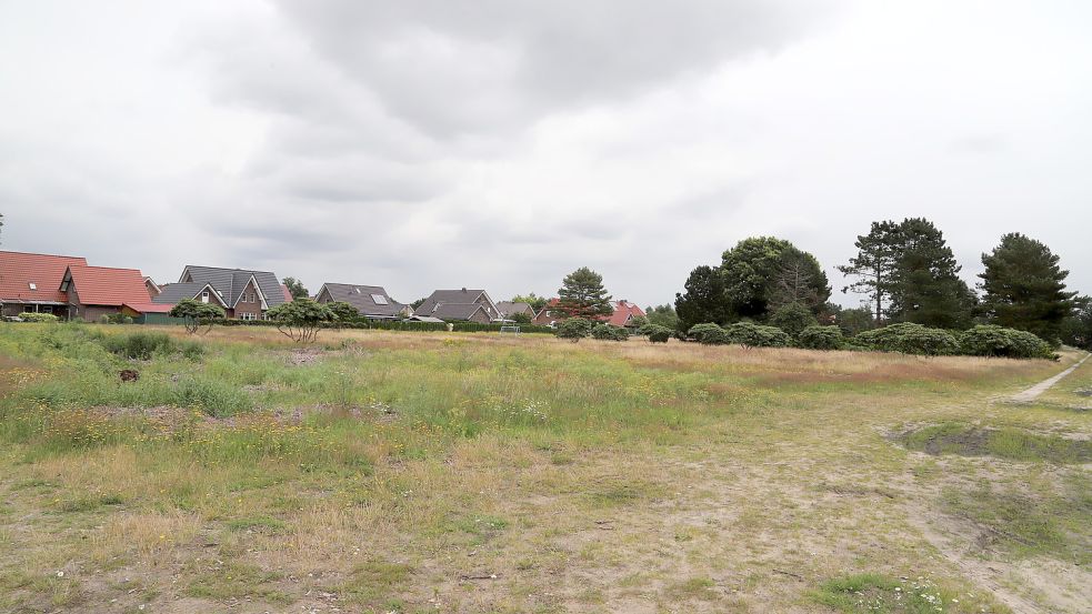 Noch präsentiert sich im zukünftigen Baugebiet an der Hauptstraße eine grasbewachsene Fläche. Bald entstehen hier Wohnhäuser. Foto: Passmann