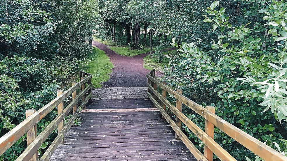Die CDU-Stadtratsfraktion in Papenburg fordert ein neues Konzept für den Volkspark Bokel. Foto: Schade