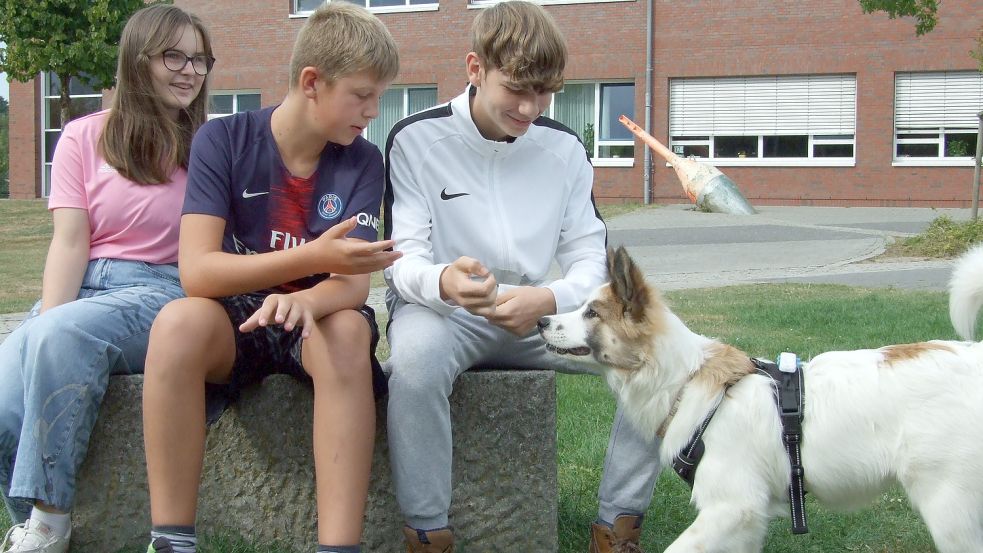 Die Schüler arbeiten gerne mit Peppa zusammen. Fotos: Scherzer