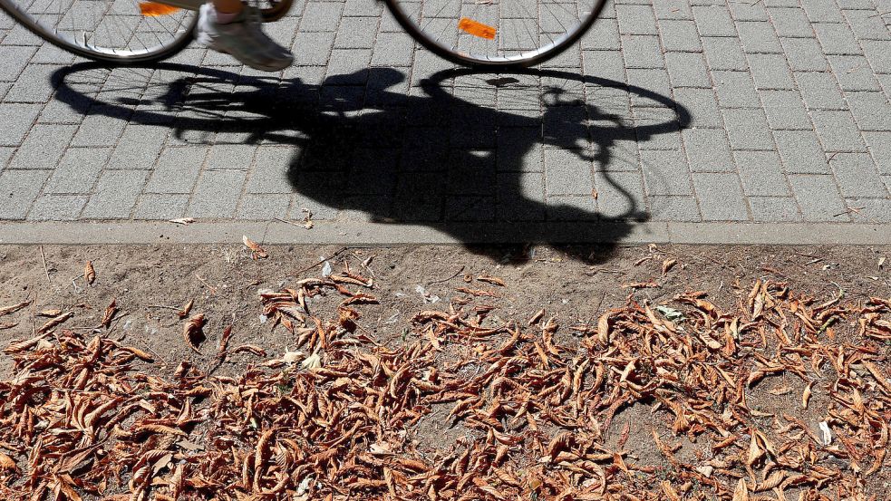 Die Frau aus Rheine war mit weiteren Radfahrern unterwegs, die der Rettungswagen überholen wollte. Symbolfoto: Hildenbrand/dpa