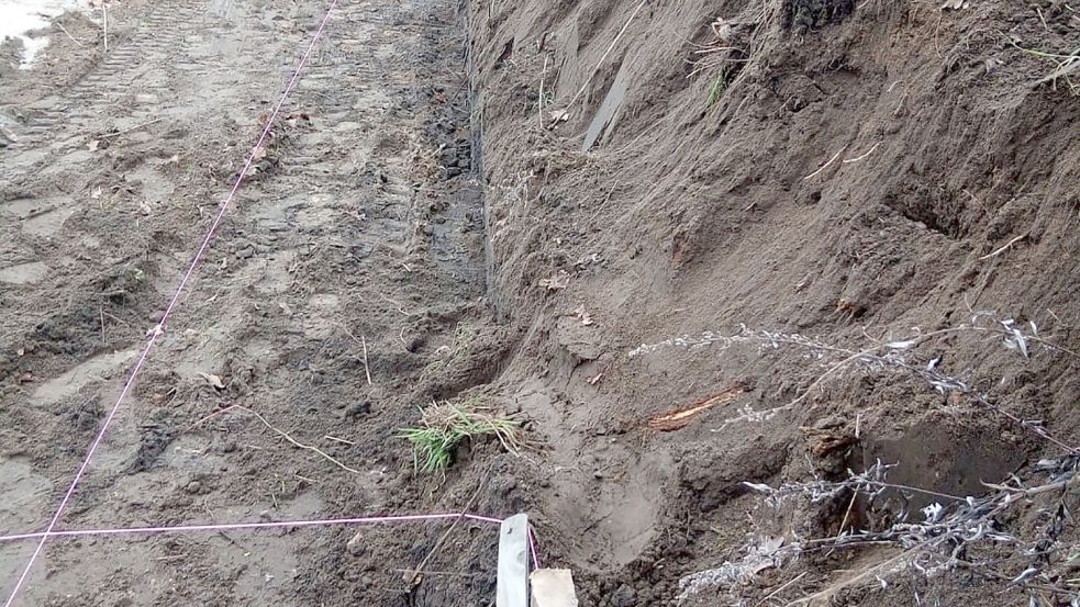 So sah der Wall aus, nachdem im Auftrag der Gemeinde Saterland ein Teilstück davon abgetragen worden ist. Dr. Michael Kramer hat dieses Foto gemacht. Inzwischen wächst dort eine Buchenhecke. Foto: Privat