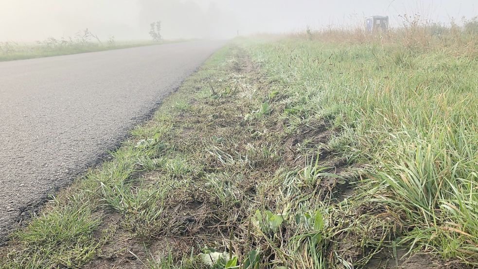 An einigen Stellen sind Seitenstreifen kaputtgefahren worden. Foto: Ammermann