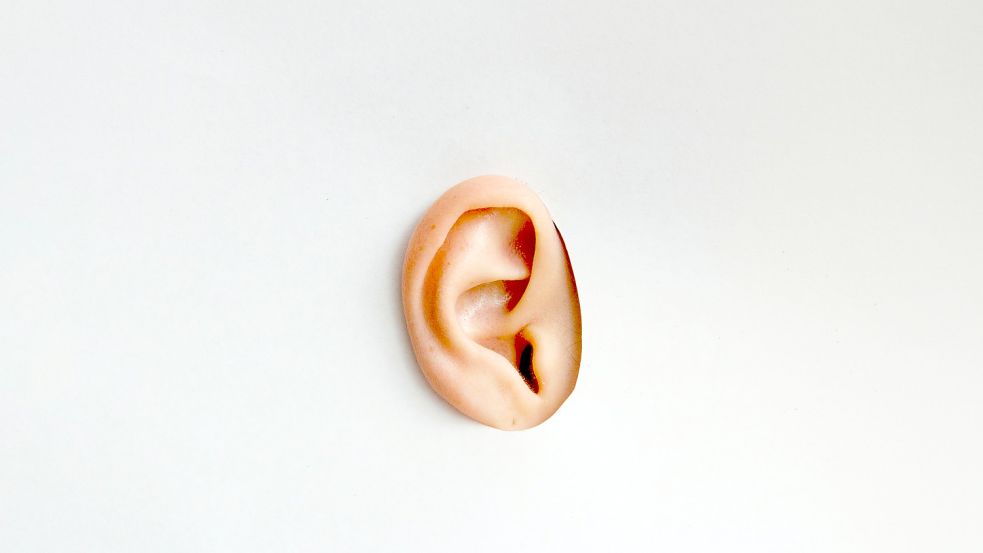 Conch Removal: Bei diesem Beauty-Trend lassen Menschen sich ein großes Stück aus der Ohrmuschel entfernen. Foto: Franco Antonio Giovanella/Unsplash