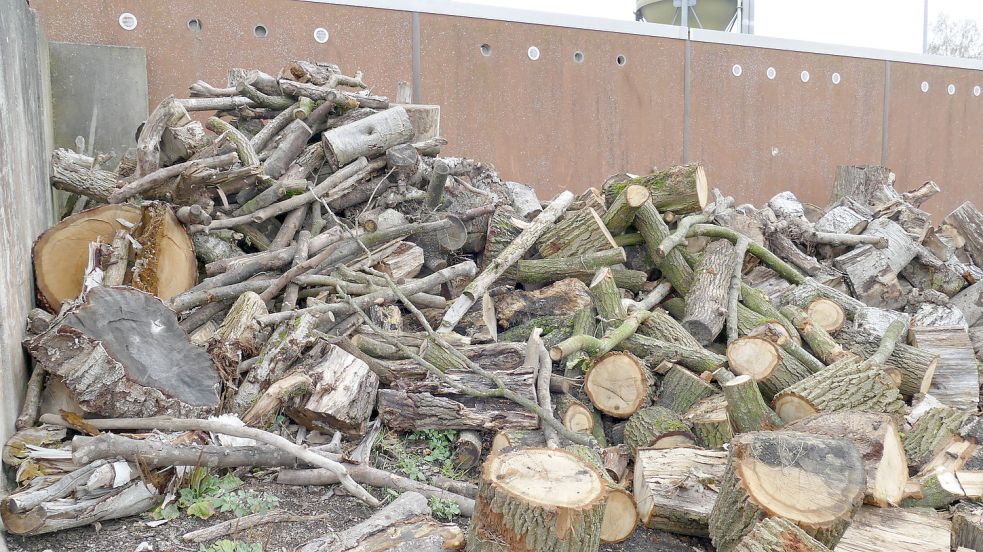 Auf dem Bauhof der Gemeinde Rhauderfehn liegt noch Restholz. Interessenten können sich jetzt für einen Ankauf telefonisch anmelden. Das neue Holz ist allerdings noch nicht da. Es muss erst noch geschlagen werden. Foto: Wieking