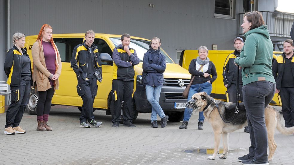 Esther Gassmann (rechts) mit Vierbeiner „Hasi“: Die Hundetrainerin aus Rastede bereitet die Postboten in Aurich auch auf knifflige Situationen vor. Foto: Udo Hippen