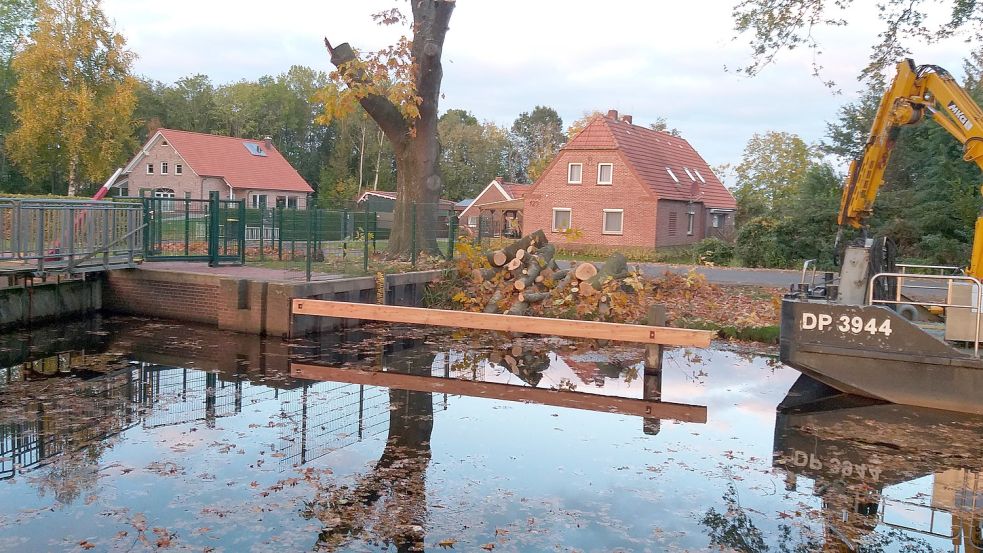 An den Schleusen Brandreeken und Reekenfeld wurden Bäume gefällt. Foto: Privat