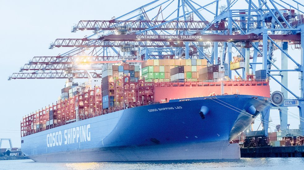 Der geplante chinesische Einstieg bei einem Containerterminal im Hamburger Hafen stößt auf Kritik. Foto: Picture Alliance/DPA