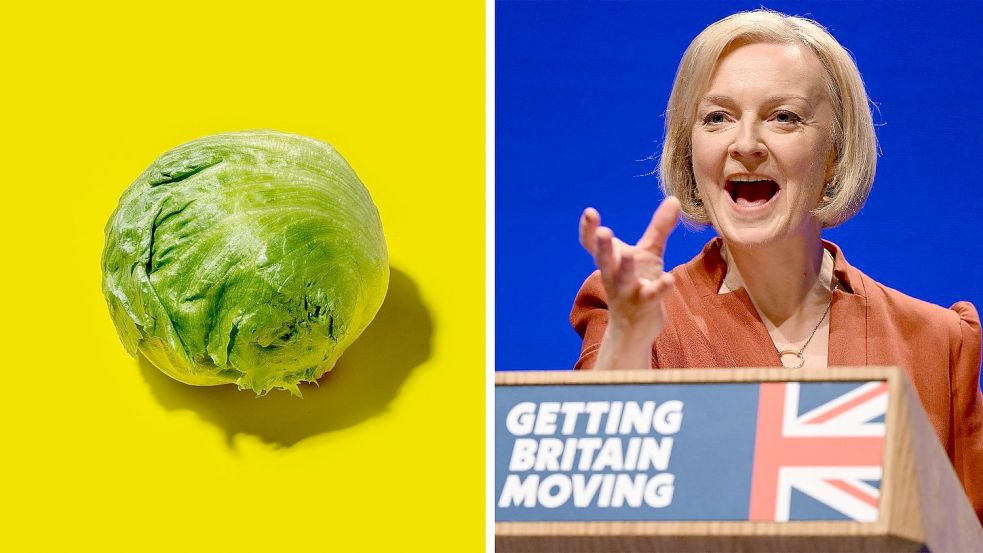 Die Briten wetteten gegen Liz Truss mit einem Kopfsalat - und gewannen. Foto: AFP/OLI SCARFF; imago images/UIG; Collage: NOZ