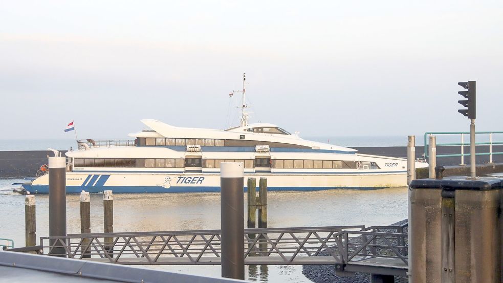Die Fähre „Tiger“ liegt am Freitag im Hafen von Harlingen. Foto: Kappers/ANP/DPA