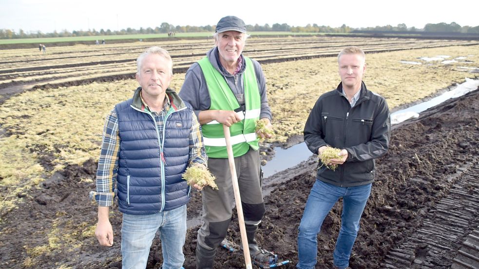 Gerhard Block (links) und sein Sohn Daniel Block (rechts) präsentieren mit Karl-Heinz Augustin von der Gruppe Naturschutz Emsland-Nord/Ostfriesland-Süd die Torfmoose, die ausgebracht wurden Foto: Ammermann