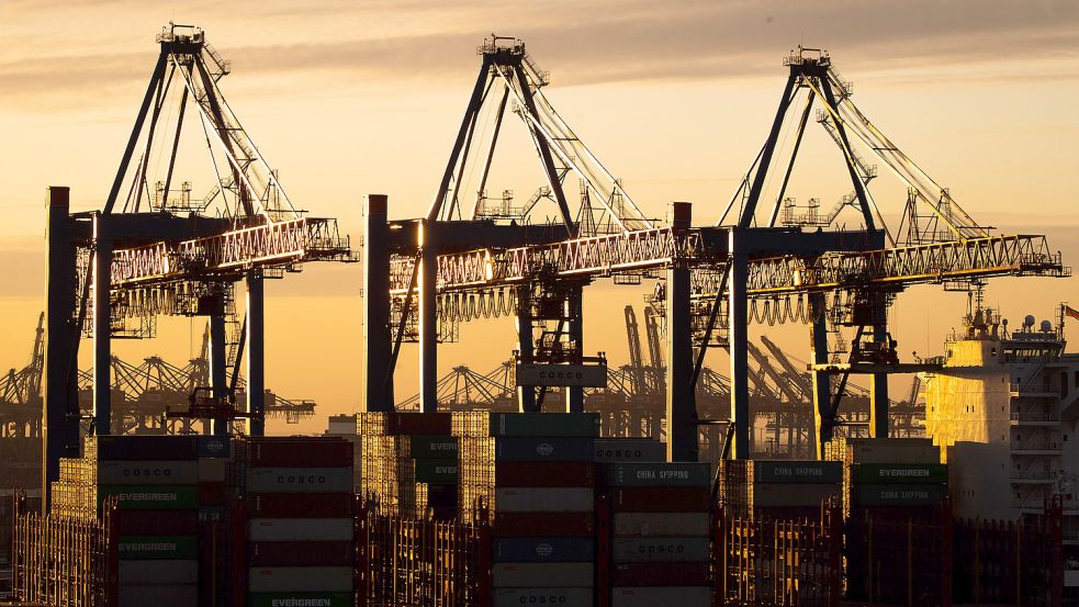 Ein Containerschiff der China Ocean Shipping Company (Cosco) wird am Containerterminal Tollerort der Hamburger Hafen und Logistik AG (HHLA) entladen. Foto: Charisius/DPA