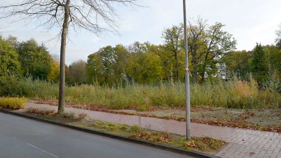 Wo bis zum Frühjahr 2021 in zentraler Ortslage das Traditionslokal Strücklinger Hof stand, ist nach dessen Abriss eine Brachfläche. Das wird voraussichtlich auch erst einmal so bleiben. Foto: Fertig