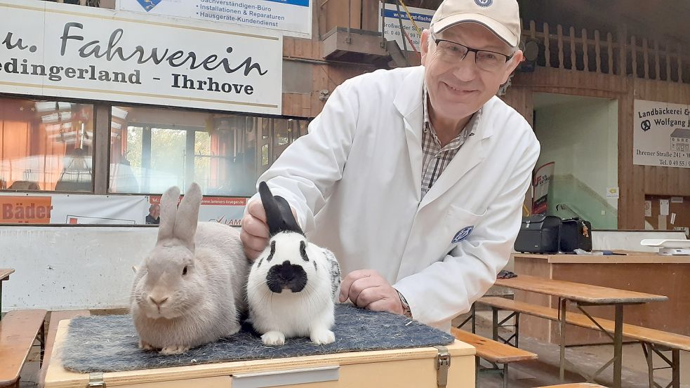 Bewertet werden von den Preisrichtern das Gewicht der Kaninchen, die Körperform, das Fell, der Pflegezustand und die rassespezifische Positionen. Foto: Scherzer