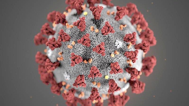 Eine Mikroskopaufnahme zeigt das Coronavirus. Noch ist die Pandemie nicht vorbei. Im Landkreis Cloppenburg sind jetzt fünf weitere Todesfälle im Zusammenhang mit Corona gemeldet worden. Foto: DPA