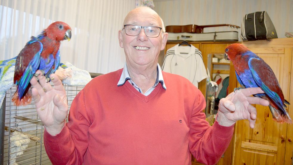Heinrich Fennen, Vorsitzender des Vogelzuchtvereins Rhauderfehn/Ostrhauderfehn, mit zwei Neuguinea-Edelpapageien aus eigener Zucht. Foto: Weers