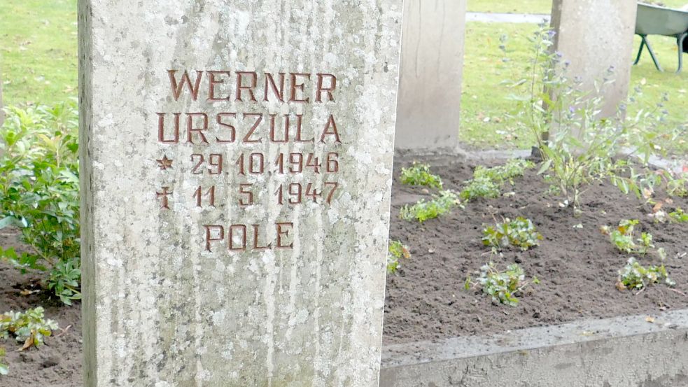 Werner Urszula, der im Alter von sechs Monaten gestorben ist, gehört zu den wenigen Kindern, die einen Grabstein bekommen haben. Das polnische Baby liegt auf dem katholischen Friedhof in Langholt. Foto: Wieking