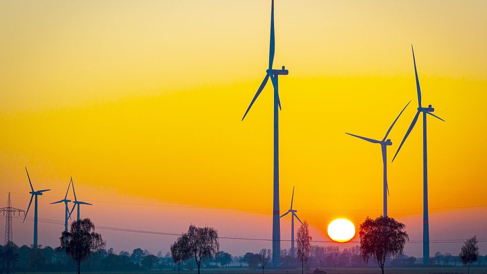 Bremst die Abschöpfung von Zufallsgewinnen den Ausbau der Windkraft aus? Davor warnt der Wirtschaftsrat. Foto: Moritz Frankenberg / dpa