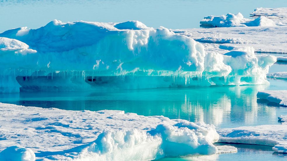 Forschende haben Hinweise gefunden, dass das Ökosystem in Grönland möglicherweise kippt. Foto: imago images/ AGAMI/V. Legrand